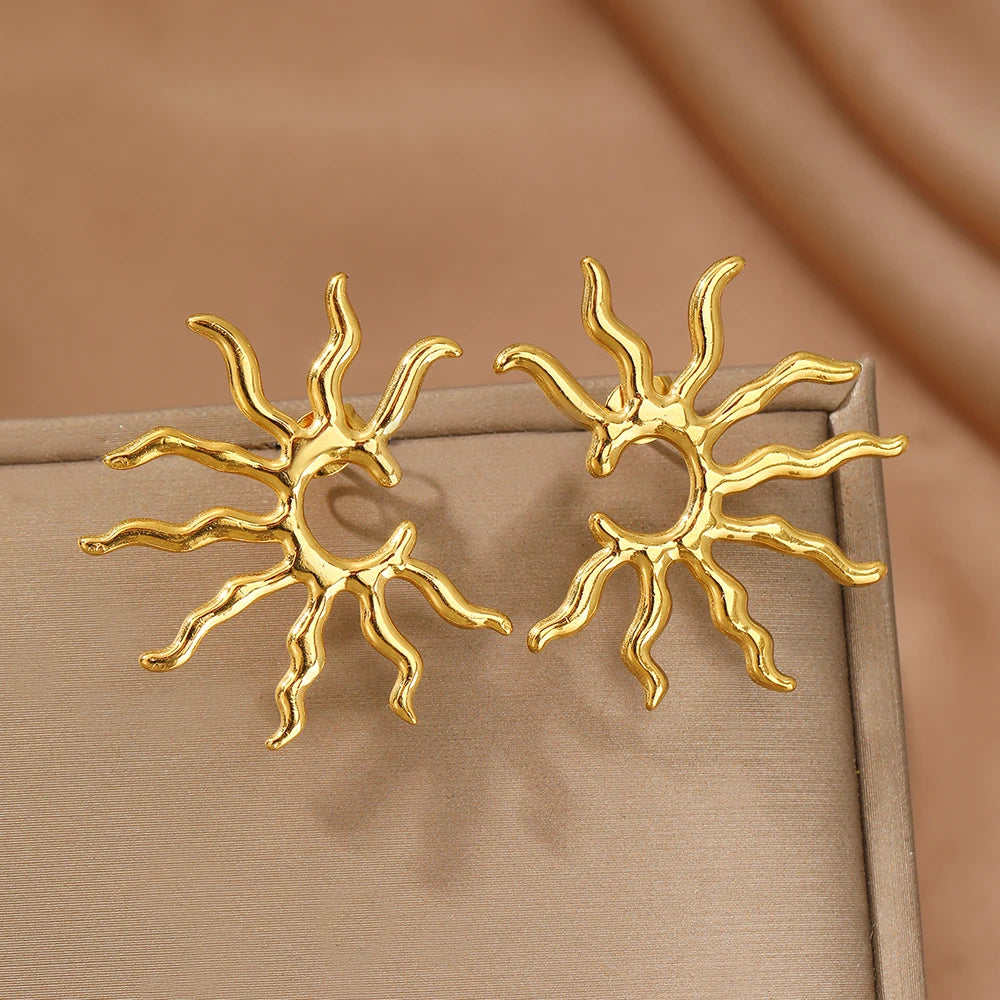 Stainless Steel Earrings