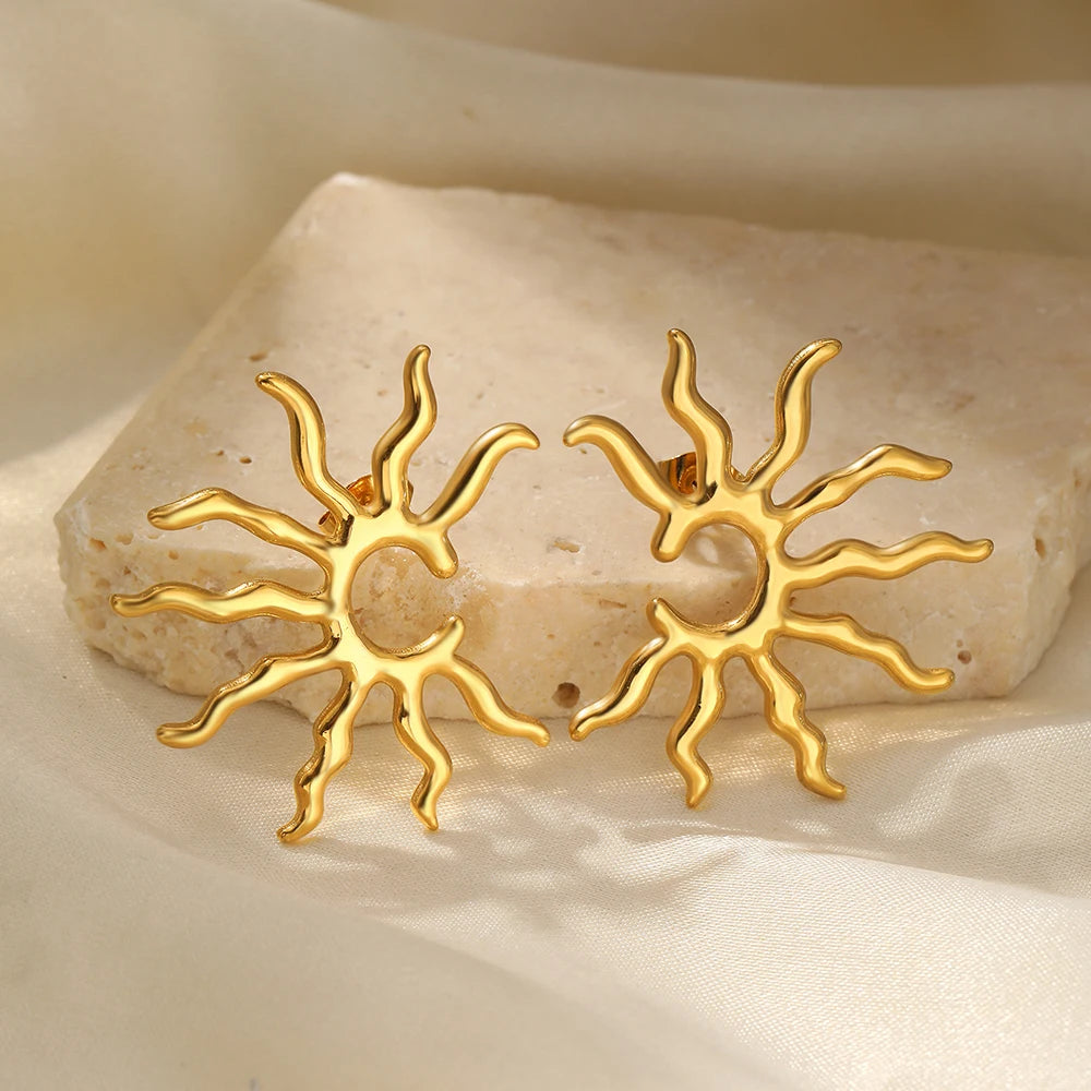 Stainless Steel Earrings